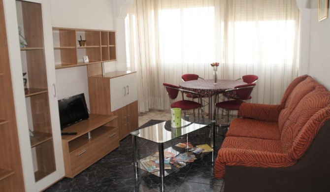 Apartment Svetlana 2