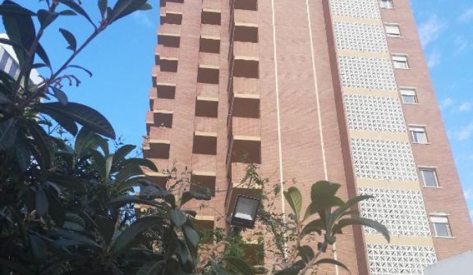 Torre Trébol Benidorm