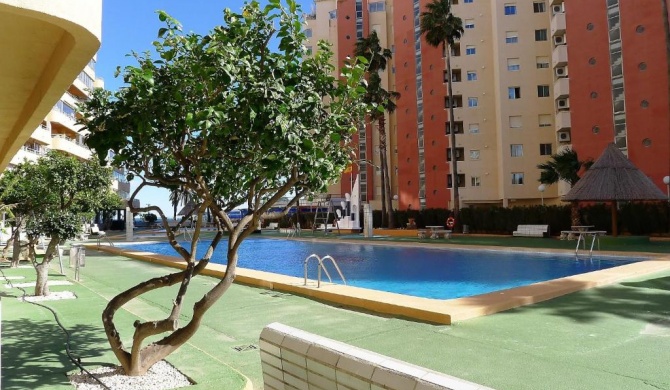 Apartment Aguamarina