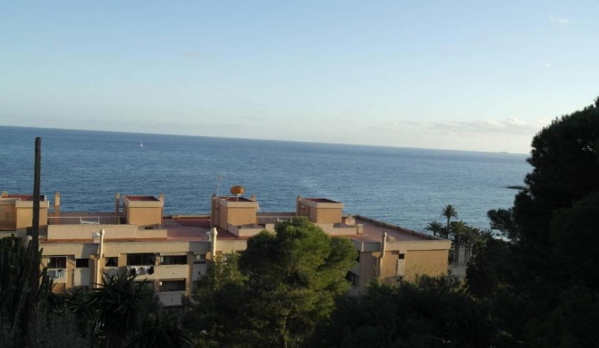 PV20B, Amplio apartamento centrico, 50 mt de la playa y vistas al mar